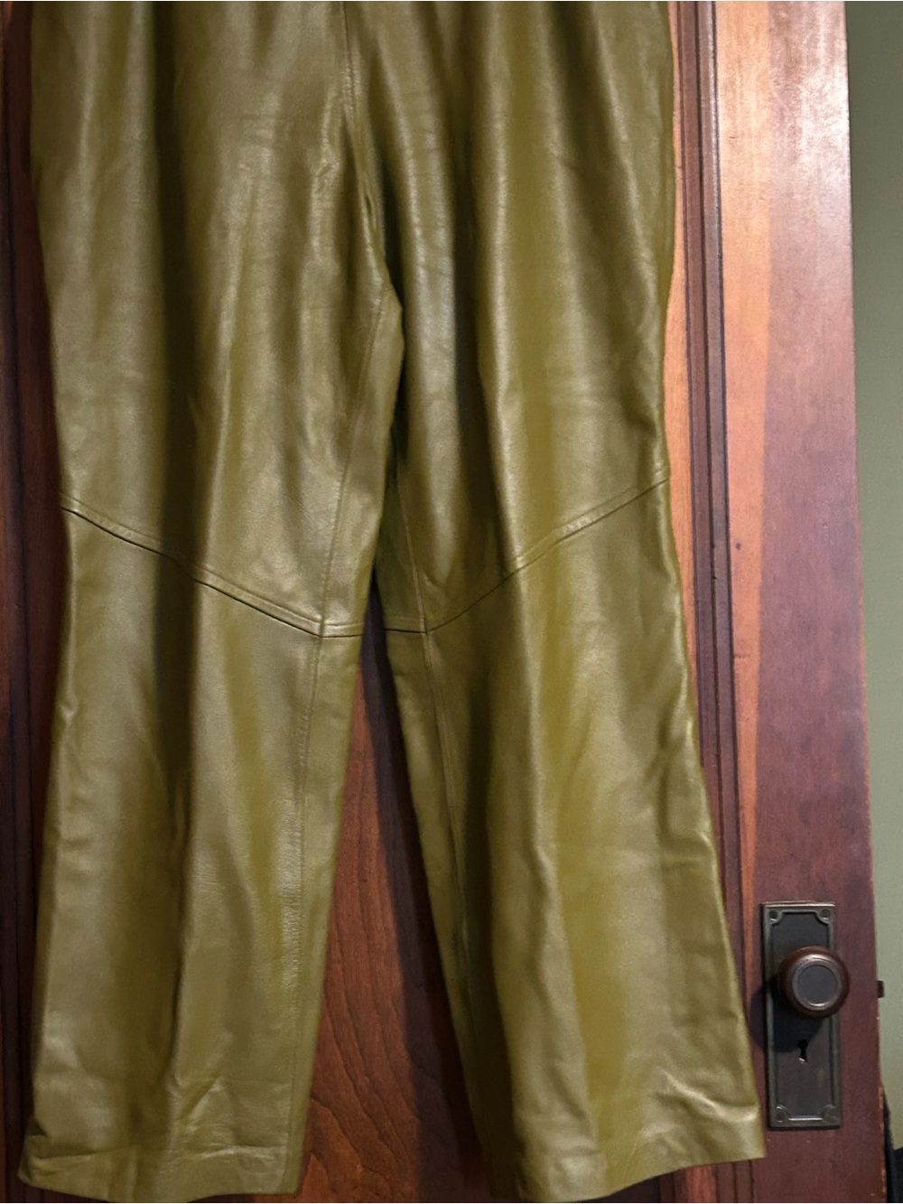 Terry Lewis  Green Genuine Leather Pants Size 20 - Picture 2 of 6